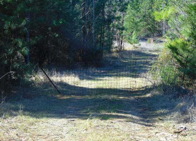 Property at R1043 County Road 403, San Augustine, TX 75972