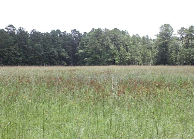 Property at PID 25155 Fm 2109, Huntington, TX 75949