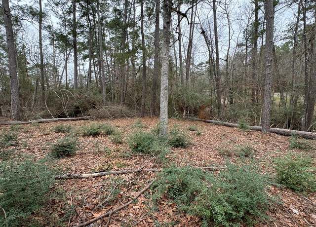 Property at R31247 County Rd, Goodrich, TX 77335