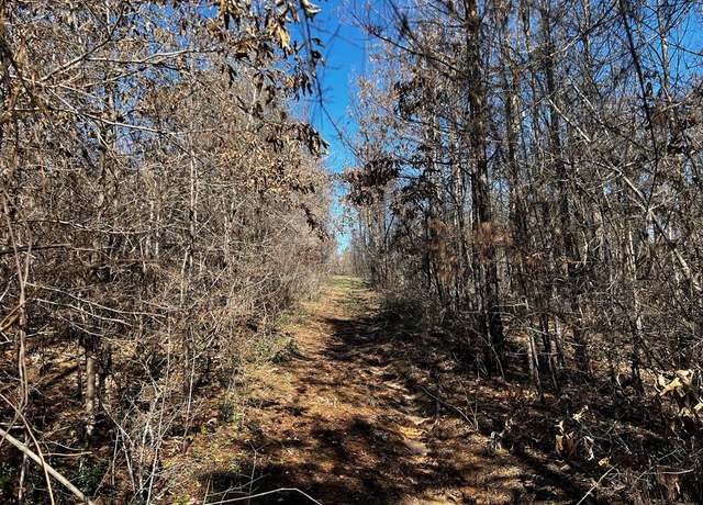 Property at R63280 Pine Groves Rd, Corrigan, TX 75939