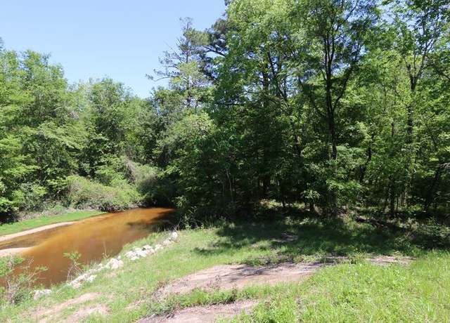 Property at 13199 State Highway 87 N, Burkeville, TX 75932