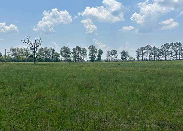 Property at Tract 2, 65 Due 2 & Due Fork Rd, Apple Springs, TX 75926