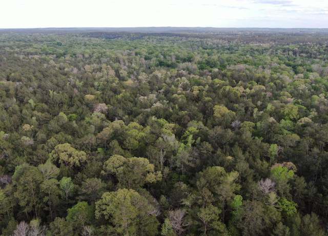 Property at TBD FM 1745 North, Colmesneil, TX 75938