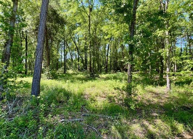 Property at Lot 9 Minnie Lou, Lufkin, TX 75904