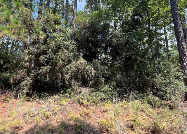 Property at PID # 34770 Tobacco Rd, Brookeland, TX 75931