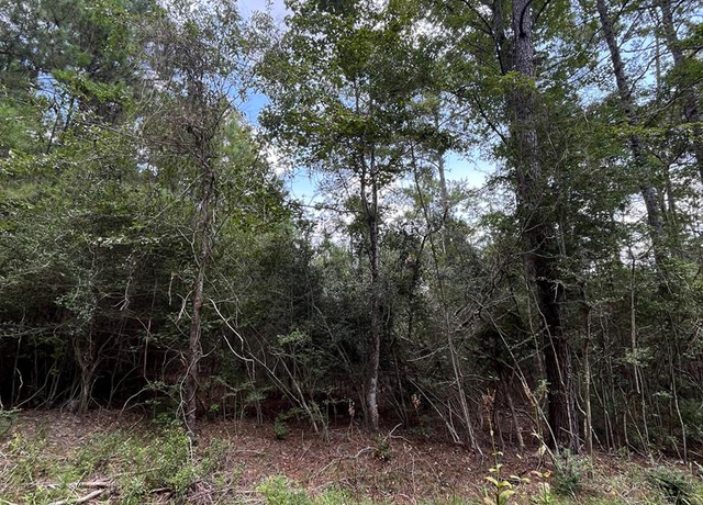 Property at PID #33939 Tupelo, Brookeland, TX 75931