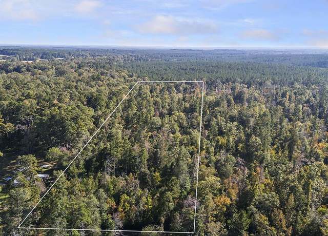 Property at R32313 Sandy Creek Rd, Zavalla, TX 75980