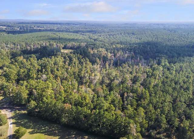 Property at R38080 Sandy Creek Rd, Zavalla, TX 75980