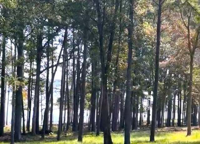 Property at ID#006032655 Old Bell Place Rd, Bronson, TX 75930