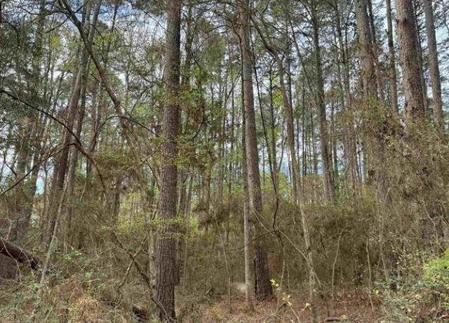 Property at 331 Bowline Dr, Hemphill, TX 75948