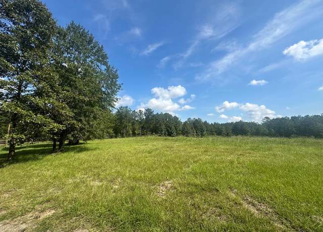 Property at 612 Black Squirrel Dr, Brookeland, TX 75931