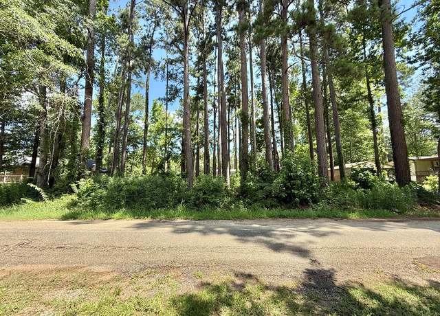 Property at 151 Lakeside Dr, Hemphill, TX 75948