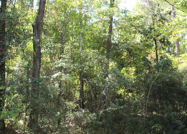 Property at 309 Commadore Dr, Hemphill, TX 75948