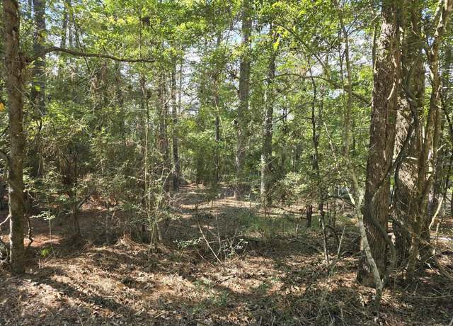 Property at 398 Twigwood Dr, Brookeland, TX 75931