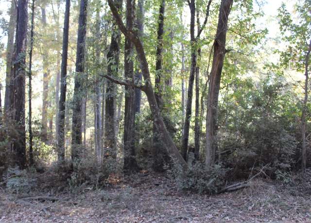 Property at 1047 Cedar Grove Rd, Hemphill, TX 75948