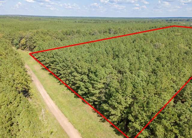 Property at Parcel #28382 County Road 403, San Augustine, TX 75972