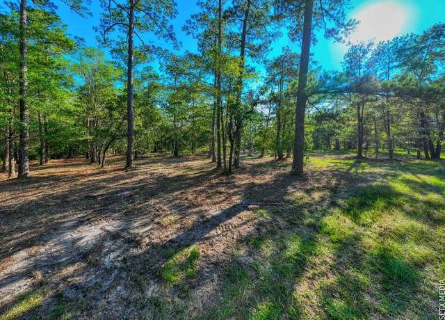 Property at 036130 2-2X Landsend Dr, Brookeland, TX 75931