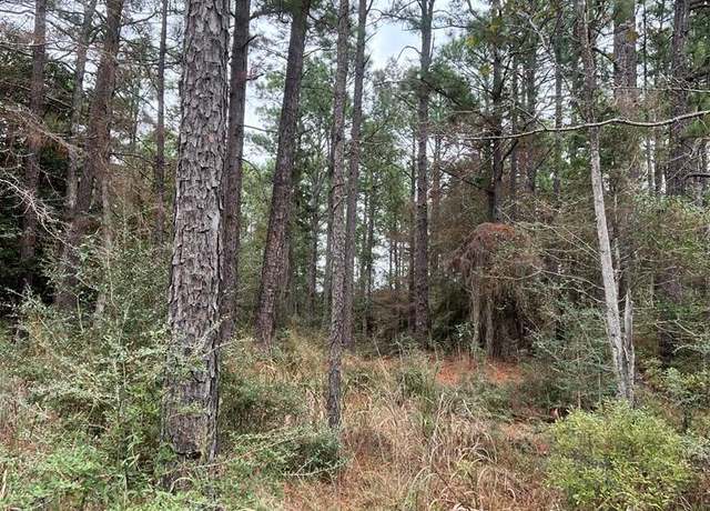 Property at 34855-34856 Tamarack Dr, Brookeland, TX 75931