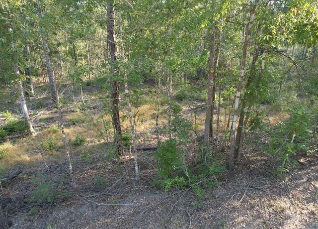 Property at 101081 Cr 1, Colmesneil, TX 75980