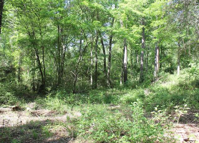 Property at 1013 Thigpen Rd, Pollok, TX 75969