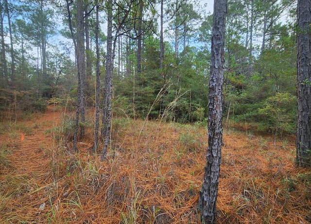 Property at 150 Piney Pt, Brookeland, TX 75931