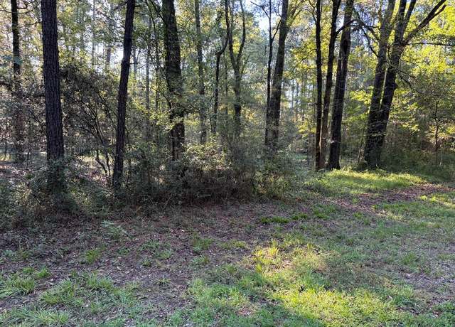 Property at 1224 Admiral Dr, Hemphill, TX 75948