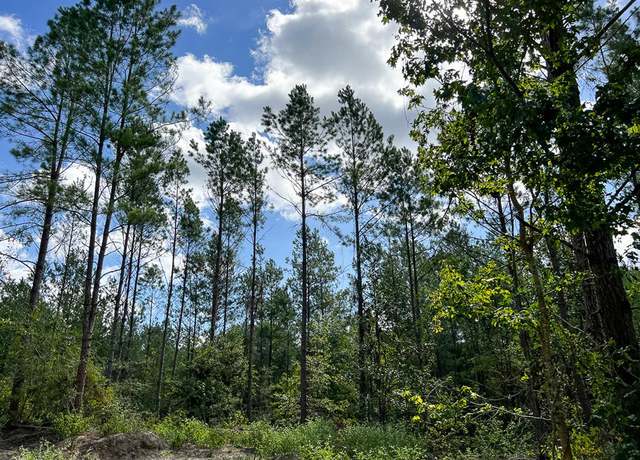 Property at 75 Ac Cr 364, Zavalla, TX 75980