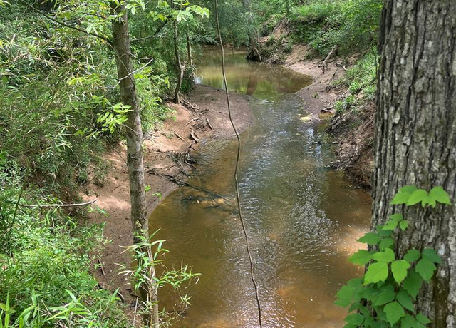Property at AB 36 Z REDMOND US Hwy 103e, San Augustine, TX 75972