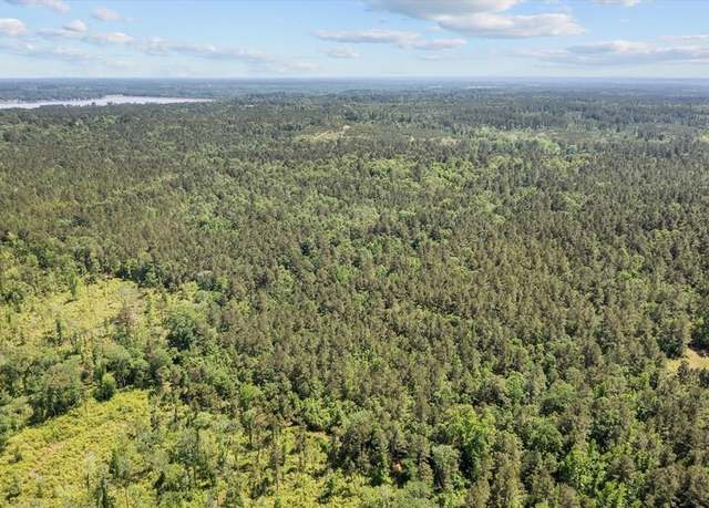 Property at 3994 County Road 774, Douglass, TX 75943