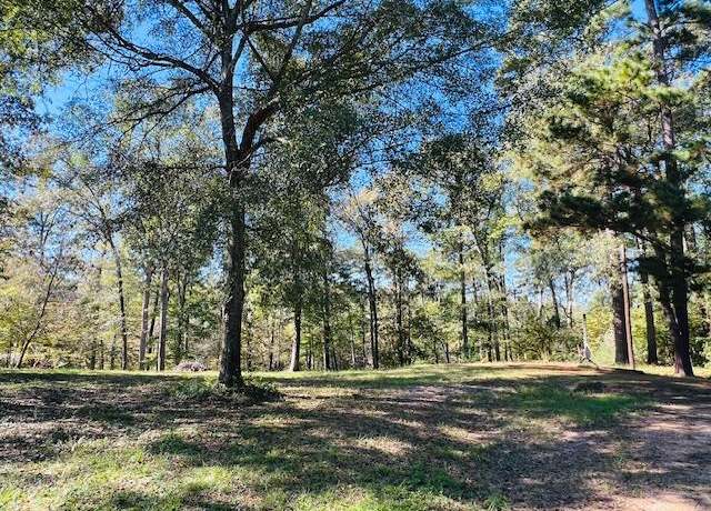 Property at 199 Davy Crockett Ct, Hemphill, TX 75948