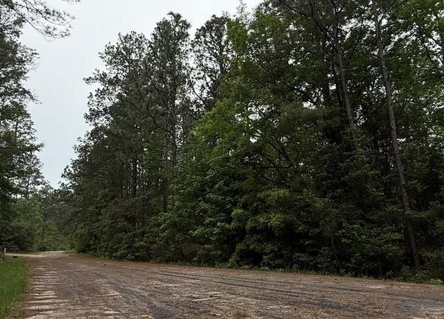 Property at 4546 Spruce Ln, Brookeland, TX 75931