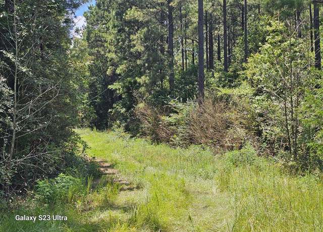 Property at 449 County Road 4851, Timpson, TX 75975