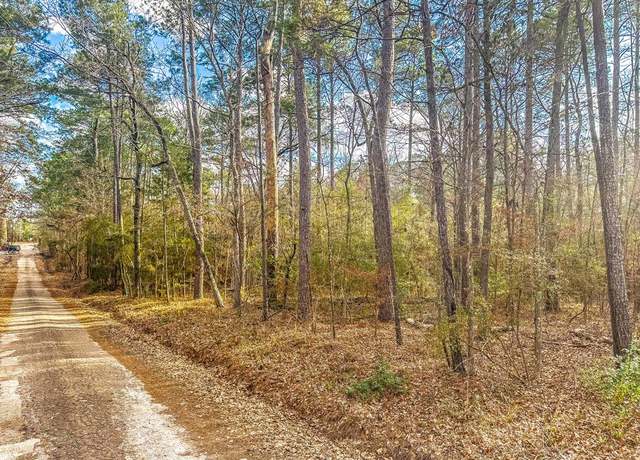 Property at Parcel 55065 Garrison St, Zavalla, TX 75980