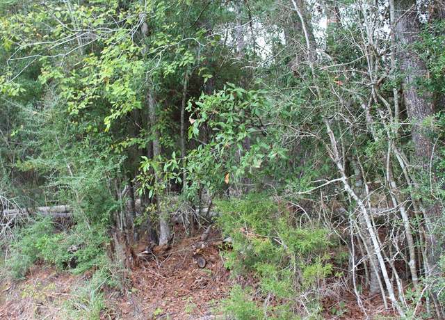 Property at 8786 County Road 266, Jasper, TX 75951