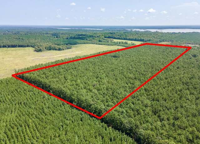 Property at R27930 Fm 705, Broaddus, TX 75929