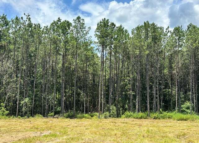 Property at 380171 County Road 4210, Woodville, TX 75979