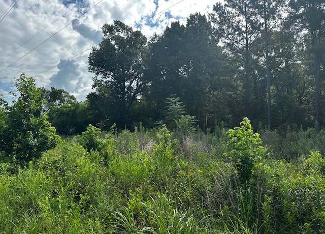 Property at 1120 Lawrence St, Diboll, TX 75941
