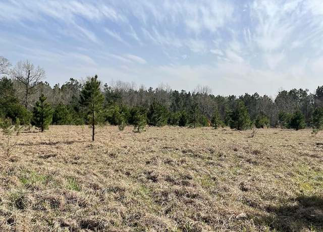 Property at 1522 Geneva Sexton Rd, San Augustine, TX 75972