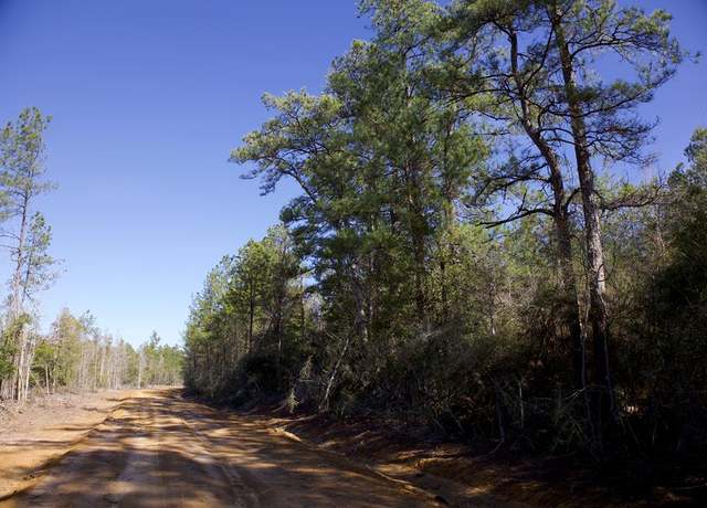 Property at 28125 Lot 31 Fm 705, Broaddus, TX 75929