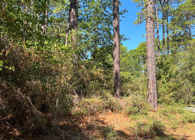 Property at 420 Sparkleberry Dr, Brookeland, TX 75931