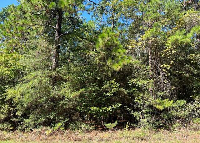 Property at R32323 Vantage Dr, Brookeland, TX 75931