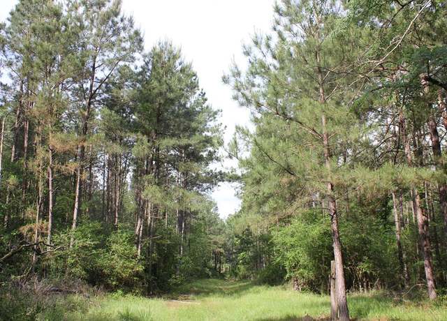 Property at PID 25806,25807 Lloyd Walker Rd, Huntington, TX 75949