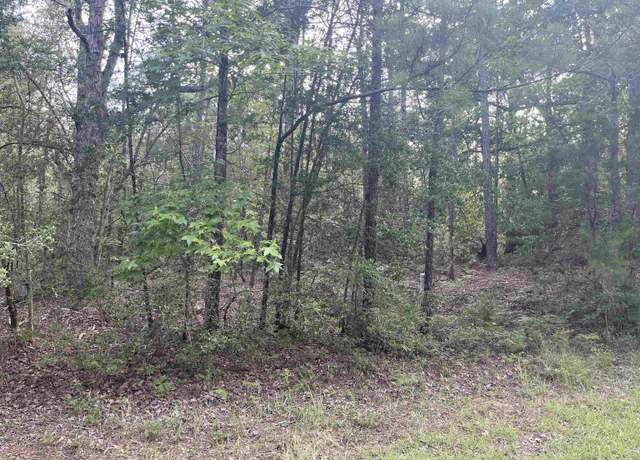 Property at 34317 Senita Dr, Brookeland, TX 75931