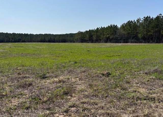 Property at 6032176 Beckcom Rd, Hemphill, TX 75948
