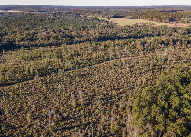 Property at 12964 County Road 1027, Newton, TX 75966