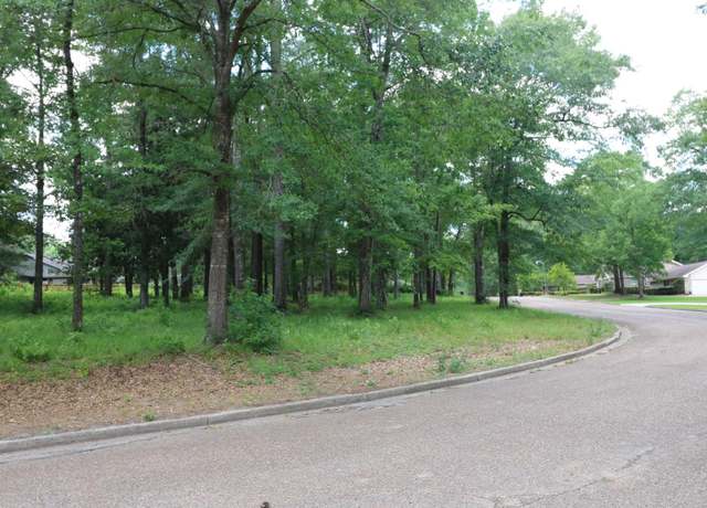 Property at Lot 103 Hunterwood Dr, Jasper, TX 75951