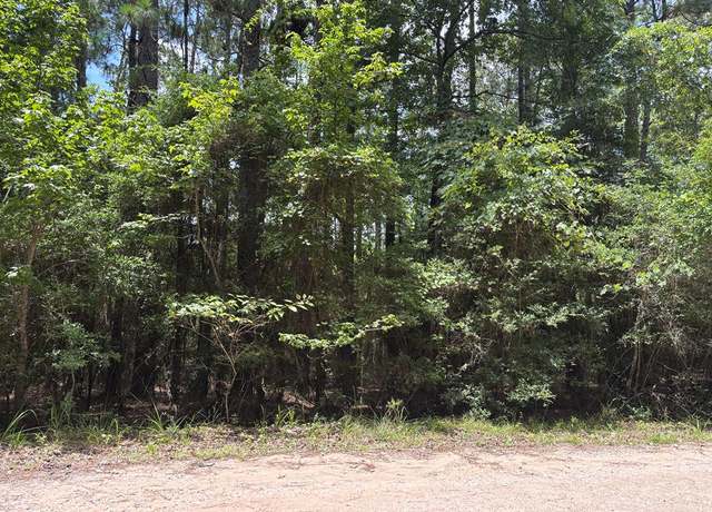 Property at 32595 Middlecoff, Brookeland, TX 75931