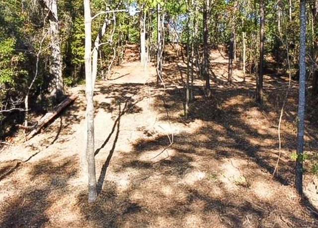 Property at 299 Dancing Flame, Livingston, TX 77351