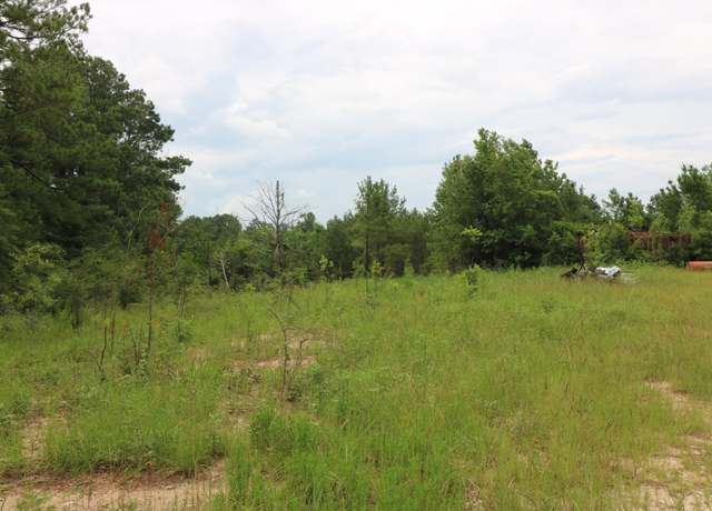 Property at AB 985 TR 85 Co Rd 1028, Newton, TX 75966