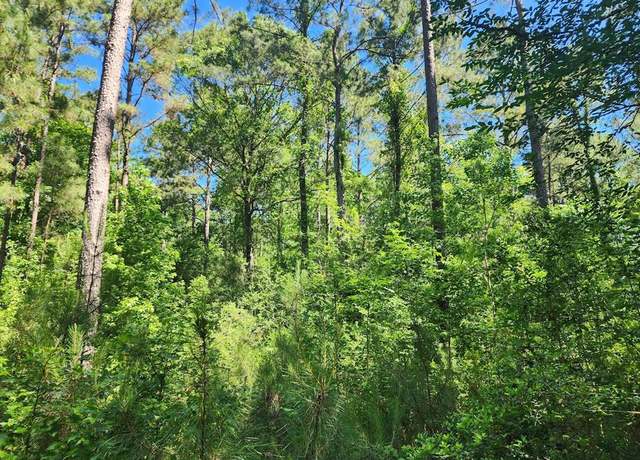 Property at Lot 2 (3 acres) Cypress Knl, Huntington, TX 75949